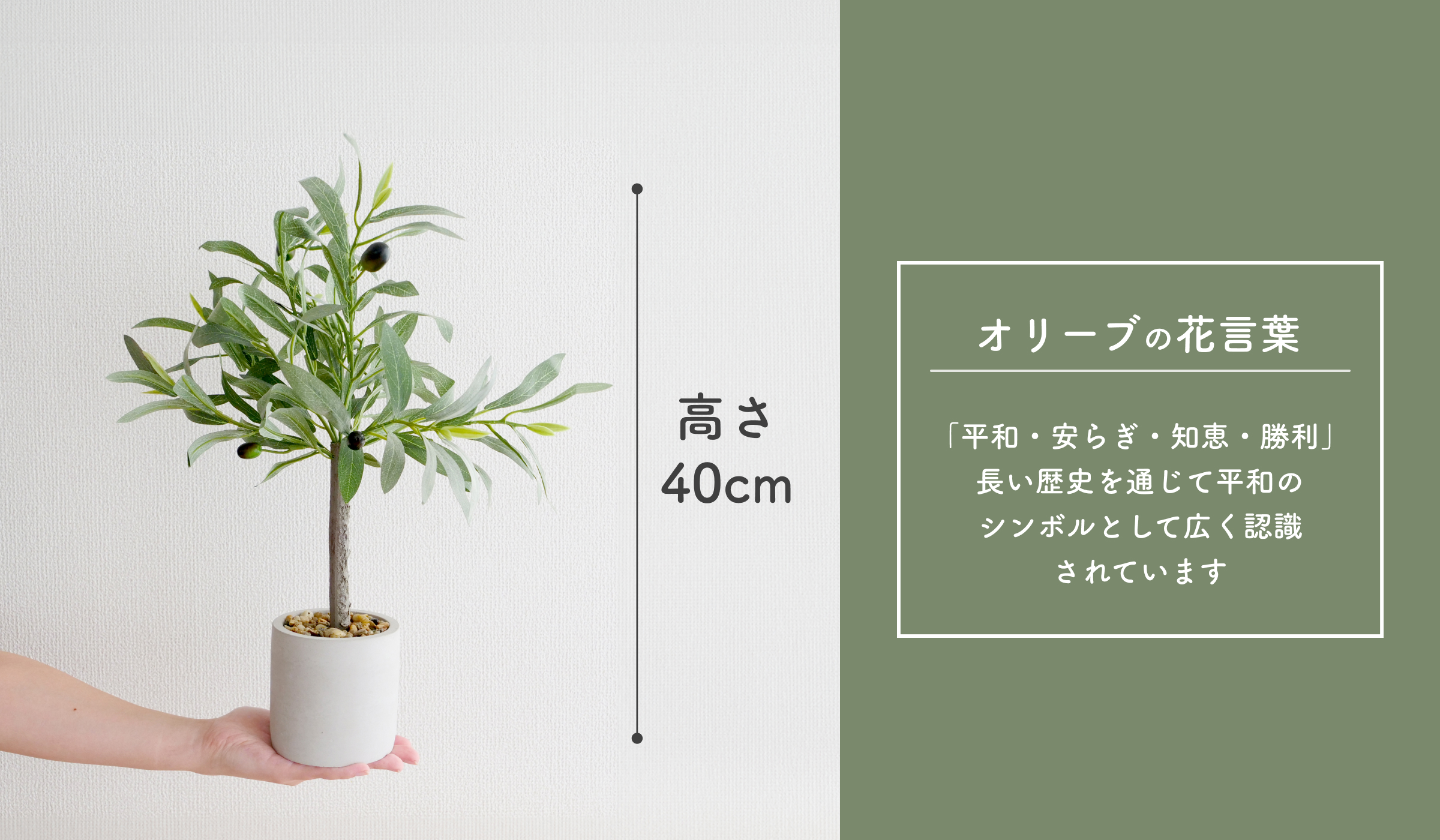 オリーブの花言葉
