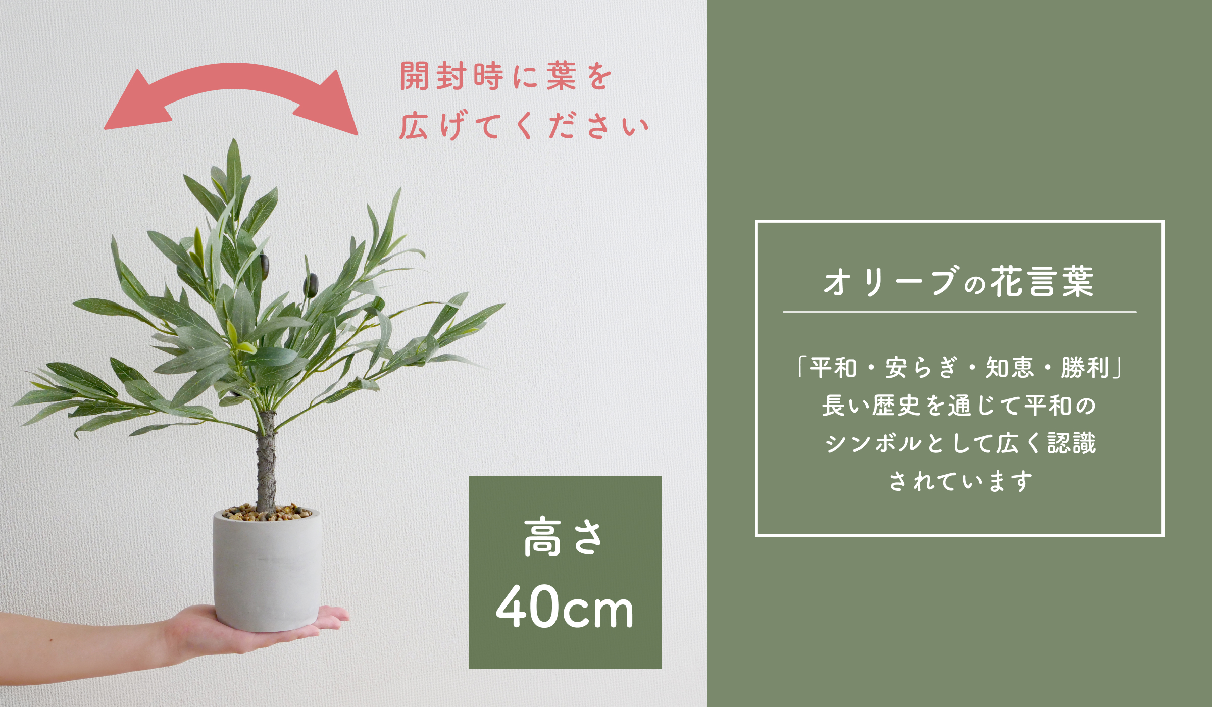 フェイクグリーン オリーブ AGY0601 | 商品一覧 | 株式会社GDT