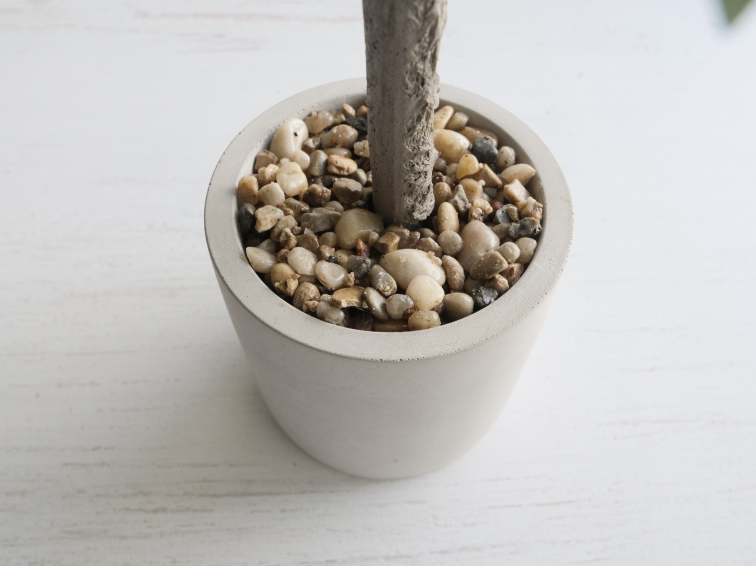 おしゃれな鉢植えデザイン