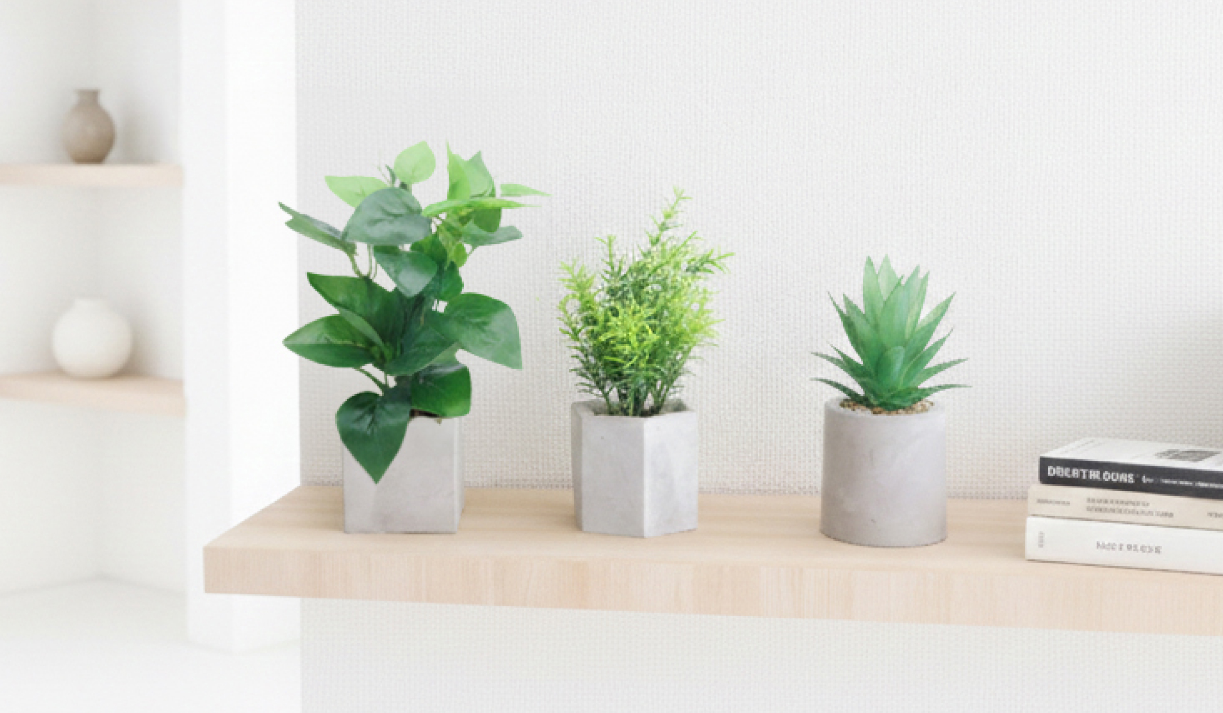 枯れずにずっと美しい